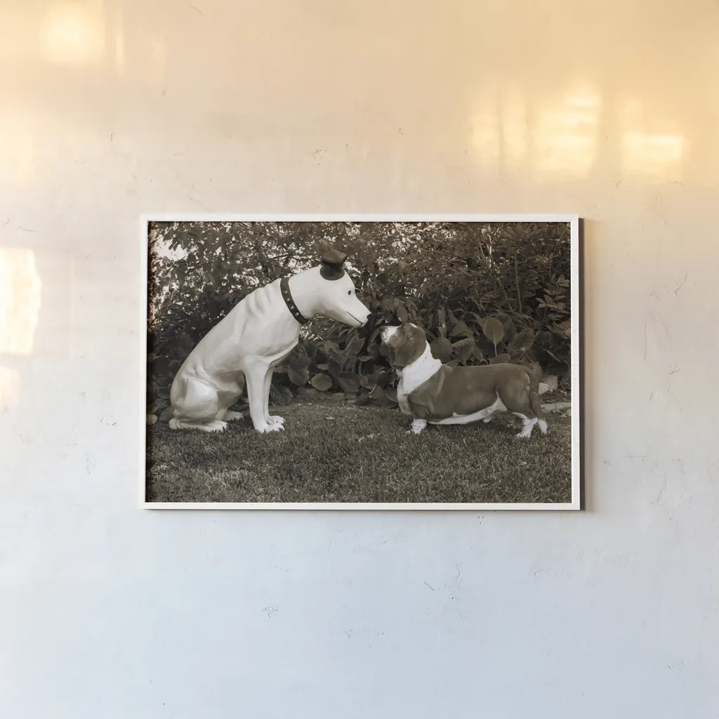 Want to Play by Jim Dratfield. shown as a paper print in a white frame. Available as a archival giclee rolled canvas, fine art paper, or poster print. SKU 25491i.