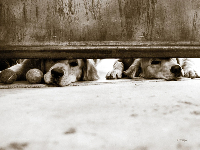We See You by Jim Dratfield