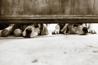 We See You v2 by Jim Dratfield. SKU 28688i. Archival Giclee Fine art print for wall decor.