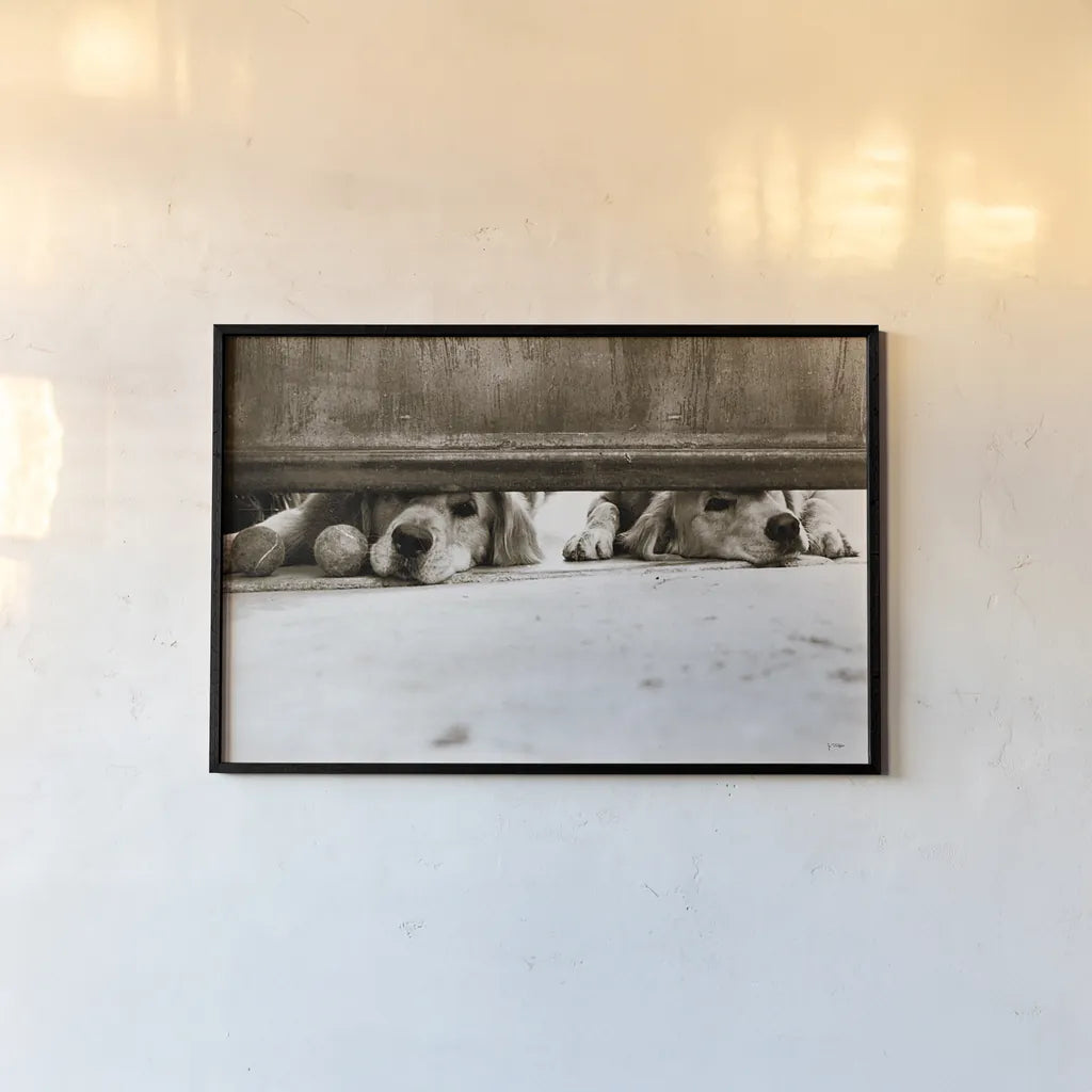 We See You v2 by Jim Dratfield. shown as a paper print in a black flame. Available as a archival giclee rolled canvas, fine art paper, or poster print. SKU 28688i.