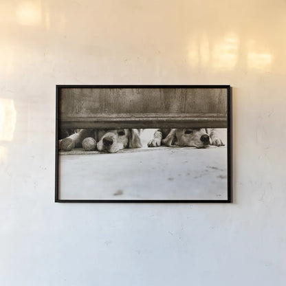 We See You v2 by Jim Dratfield. shown as a paper print in a black flame. Available as a archival giclee rolled canvas, fine art paper, or poster print. SKU 28688i.