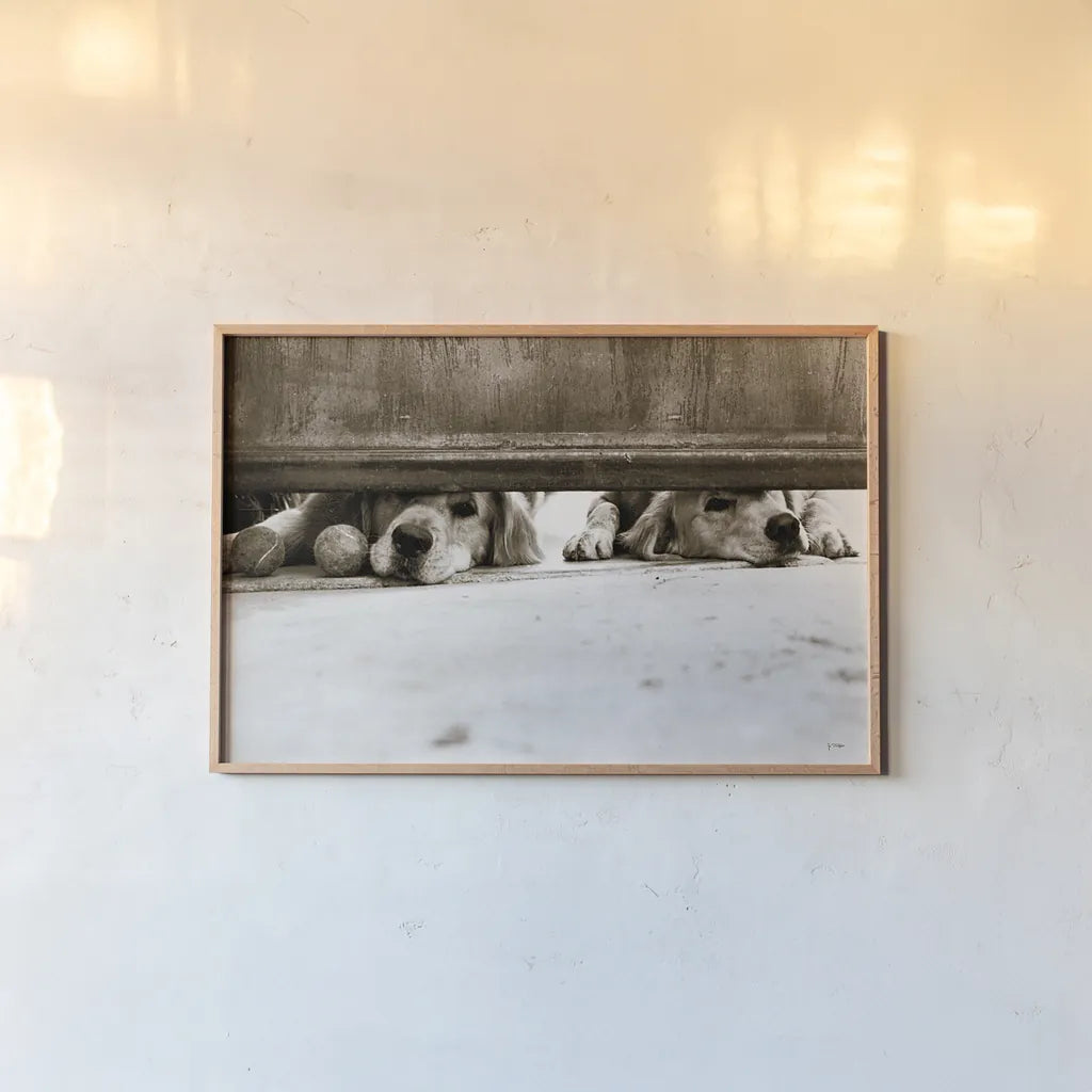 We See You v2 by Jim Dratfield. shown as a paper print in a natural frame. Available as a archival giclee rolled canvas, fine art paper, or poster print. SKU 28688i.