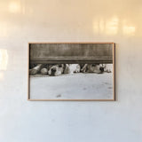We See You v2 by Jim Dratfield. shown as a paper print in a natural frame. Available as a archival giclee rolled canvas, fine art paper, or poster print. SKU 28688i.