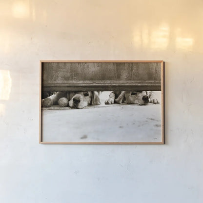 We See You v2 by Jim Dratfield. shown as a paper print in a natural frame. Available as a archival giclee rolled canvas, fine art paper, or poster print. SKU 28688i.