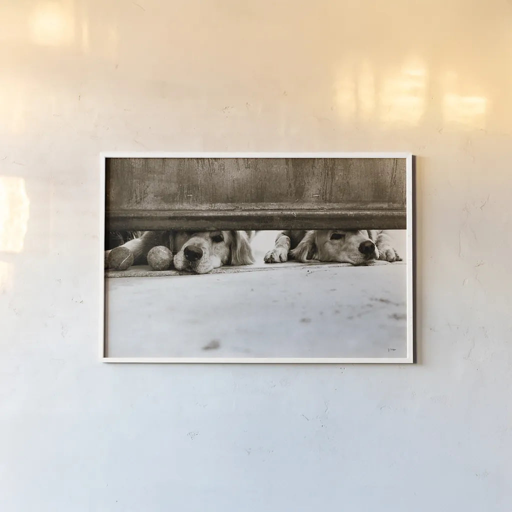 We See You v2 by Jim Dratfield. shown as a paper print in a white frame. Available as a archival giclee rolled canvas, fine art paper, or poster print. SKU 28688i.