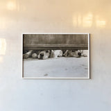 We See You v2 by Jim Dratfield. shown as a paper print in a white frame. Available as a archival giclee rolled canvas, fine art paper, or poster print. SKU 28688i.