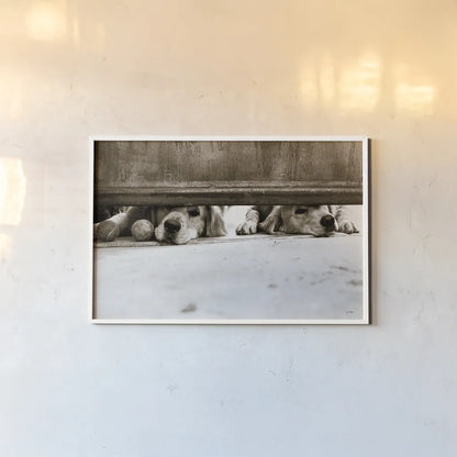 We See You v2 by Jim Dratfield. shown as a paper print in a white frame. Available as a archival giclee rolled canvas, fine art paper, or poster print. SKU 28688i.