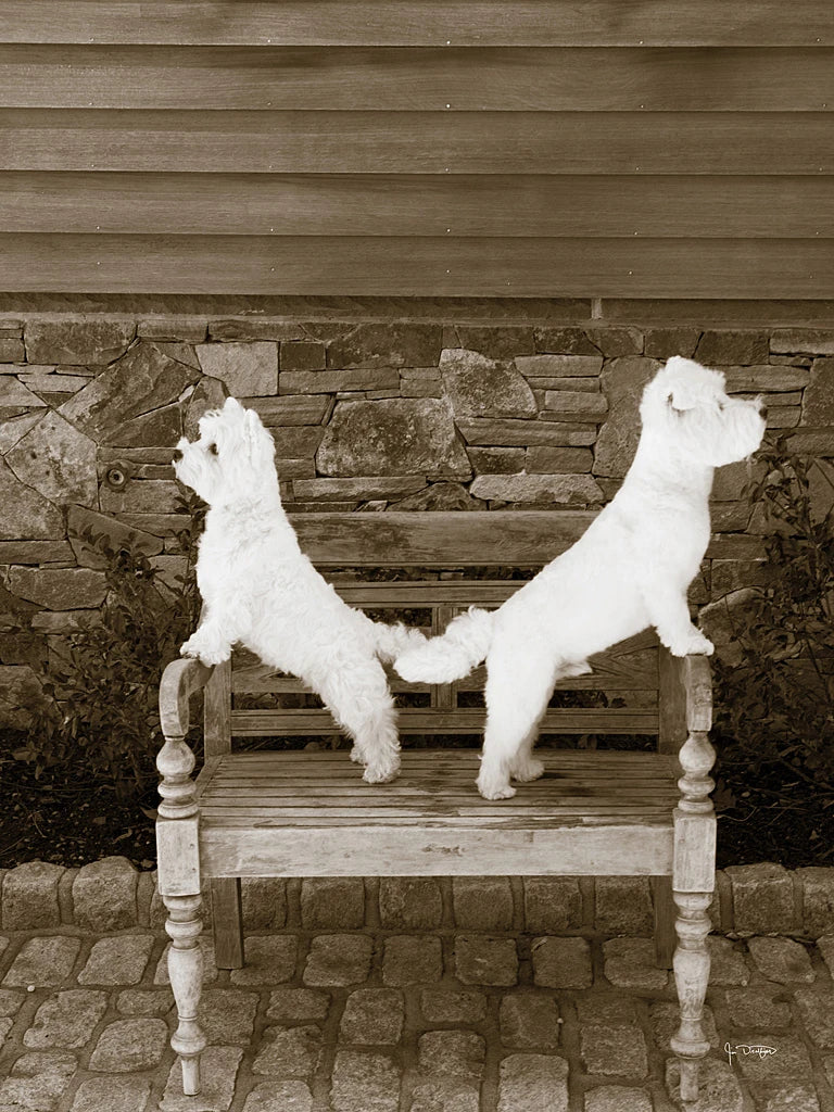 We are Ready by Jim Dratfield