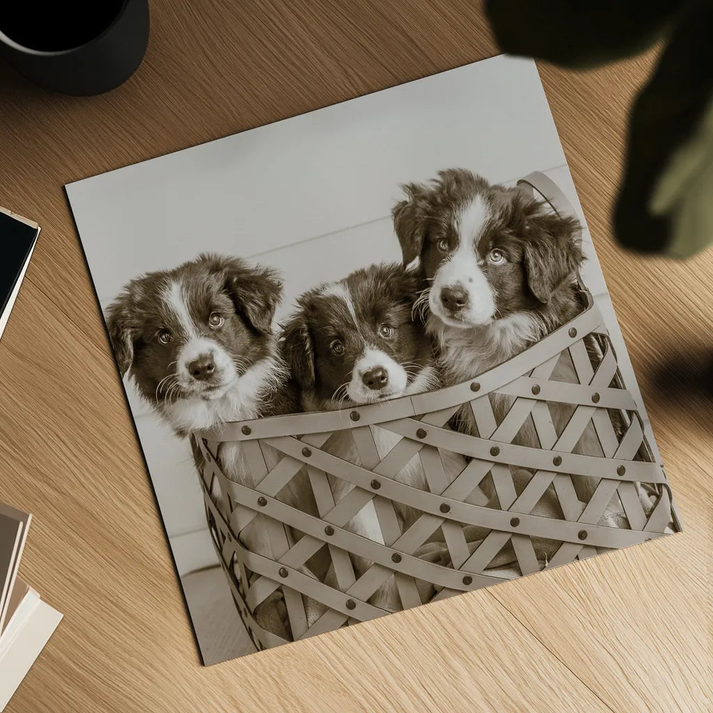 What a Cute Bundle Crop by Jim Dratfield. Shown as a detailed flat fine art print, highlighting archival giclee quality. Available as an archival giclee rolled canvas, fine art paper, or poster print. SKU 25479a.