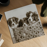 What a Cute Bundle Crop by Jim Dratfield. Shown as a detailed flat fine art print, highlighting archival giclee quality. Available as an archival giclee rolled canvas, fine art paper, or poster print. SKU 25479a.