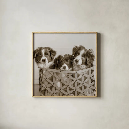 What a Cute Bundle Crop by Jim Dratfield. Shown in a natural wood glass frame for a timeless modern aesthetic. Available as an archival giclee rolled canvas, fine art paper, or poster print. SKU 25479a.