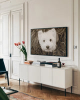 What a Cutie by Jim Dratfield. shown as a framed stretched canvas in a living room above a console. Available as a archival giclee rolled canvas, fine art paper, or poster print. SKU 25478i.