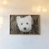 What a Cutie by Jim Dratfield. shown as a paper print in a natural frame. Available as a archival giclee rolled canvas, fine art paper, or poster print. SKU 25478i.