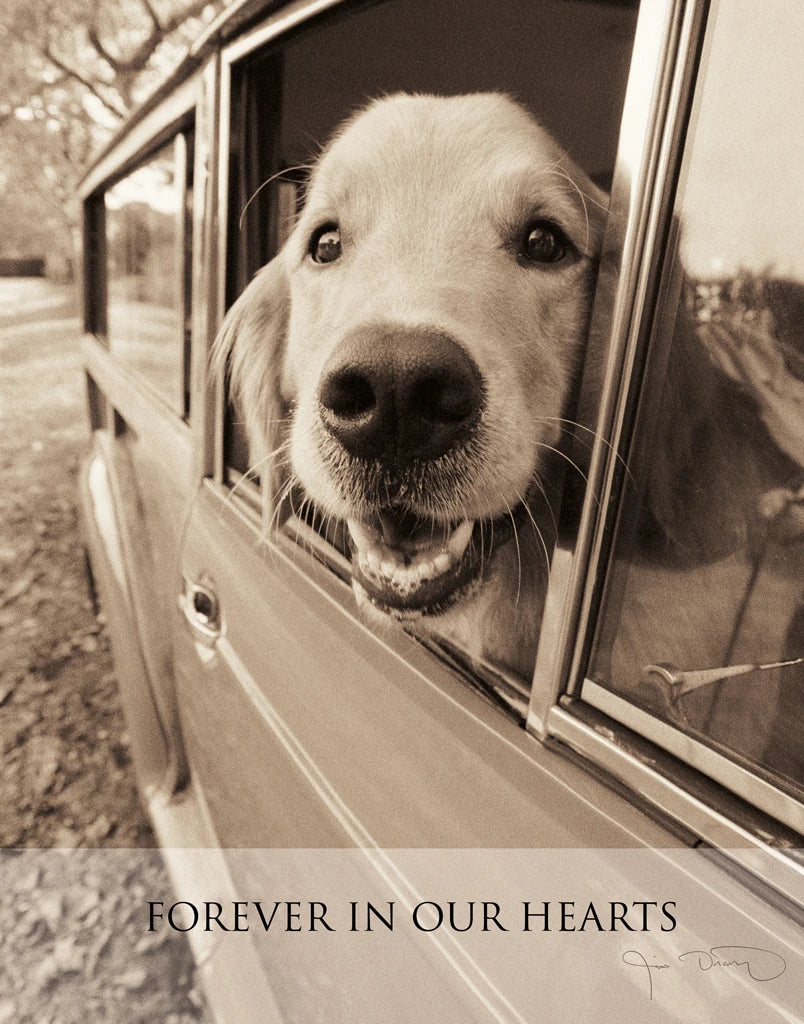 Where You Go Forever Crop by Jim Dratfield