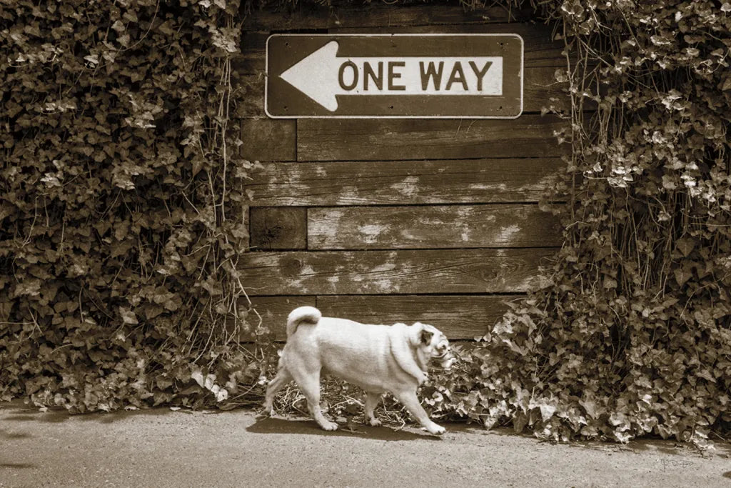 Which Way by Jim Dratfield. SKU 25477i. Archival Giclee Fine art print for wall decor.