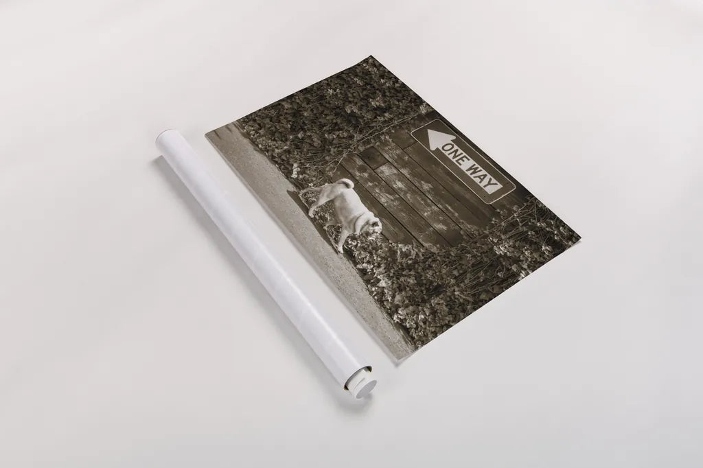 Which Way by Jim Dratfield. shown as a rolled paper print. Available as archival giclee rolled canvas, fine art paper, or poster print. SKU 25477i.