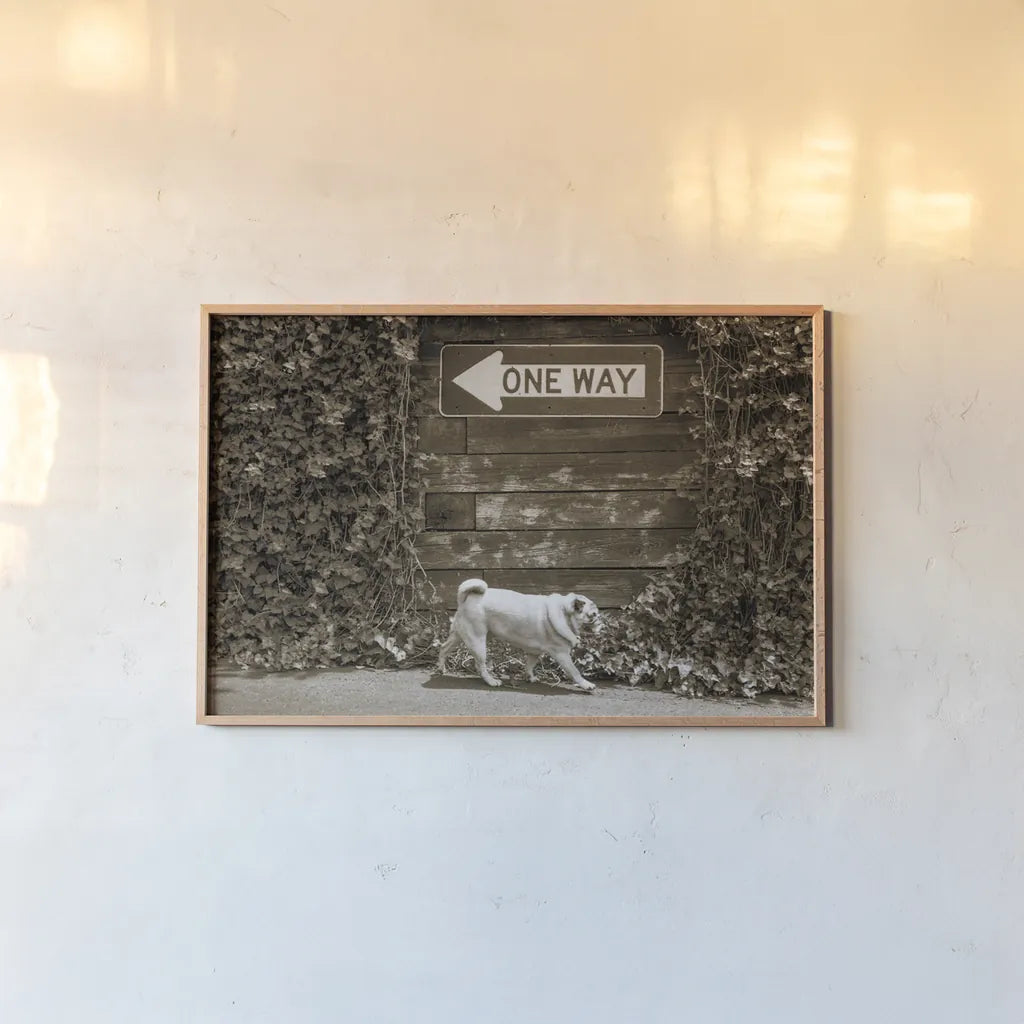 Which Way by Jim Dratfield. shown as a paper print in a natural frame. Available as a archival giclee rolled canvas, fine art paper, or poster print. SKU 25477i.