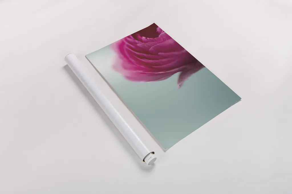 En Romance by Jocelyn Elizabeth. shown as a rolled paper print. Available as archival giclee rolled canvas, fine art paper, or poster print. SKU 94032h.