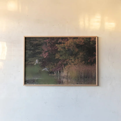 Fly Away by Jocelyn Elizabeth. shown as a paper print in a natural frame. Available as a archival giclee rolled canvas, fine art paper, or poster print. SKU 94028i.