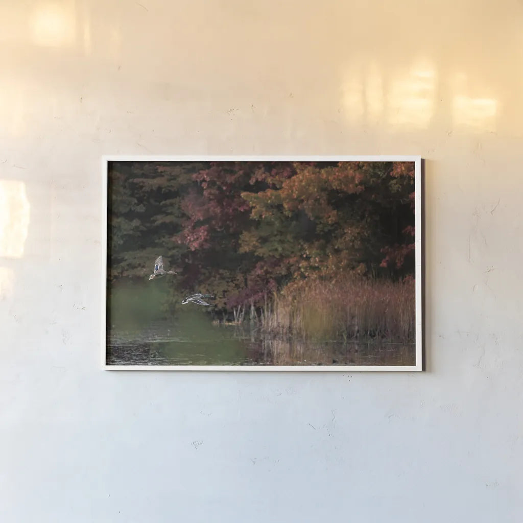 Fly Away by Jocelyn Elizabeth. shown as a paper print in a white frame. Available as a archival giclee rolled canvas, fine art paper, or poster print. SKU 94028i.