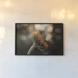 Golden Hour Sunflower by Jocelyn Elizabeth. shown as a paper print in a black flame. Available as a archival giclee rolled canvas, fine art paper, or poster print. SKU 94030i.