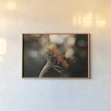 Golden Hour Sunflower by Jocelyn Elizabeth. shown as a paper print in a natural frame. Available as a archival giclee rolled canvas, fine art paper, or poster print. SKU 94030i.