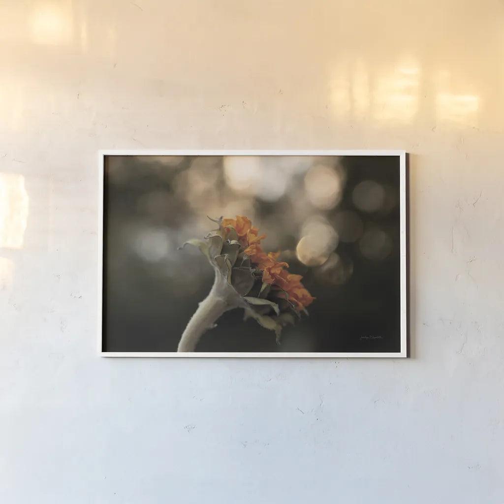 Golden Hour Sunflower by Jocelyn Elizabeth. shown as a paper print in a white frame. Available as a archival giclee rolled canvas, fine art paper, or poster print. SKU 94030i.