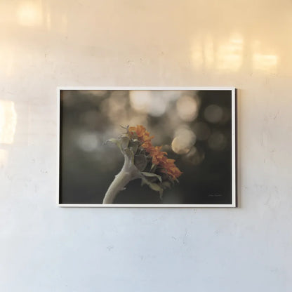 Golden Hour Sunflower by Jocelyn Elizabeth. shown as a paper print in a white frame. Available as a archival giclee rolled canvas, fine art paper, or poster print. SKU 94030i.