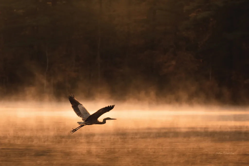 Heron in Flight by Jocelyn Elizabeth. SKU 94029i. Archival Giclee Fine art print for wall decor.