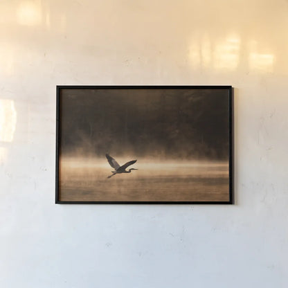 Heron in Flight by Jocelyn Elizabeth. shown as a paper print in a black flame. Available as a archival giclee rolled canvas, fine art paper, or poster print. SKU 94029i.