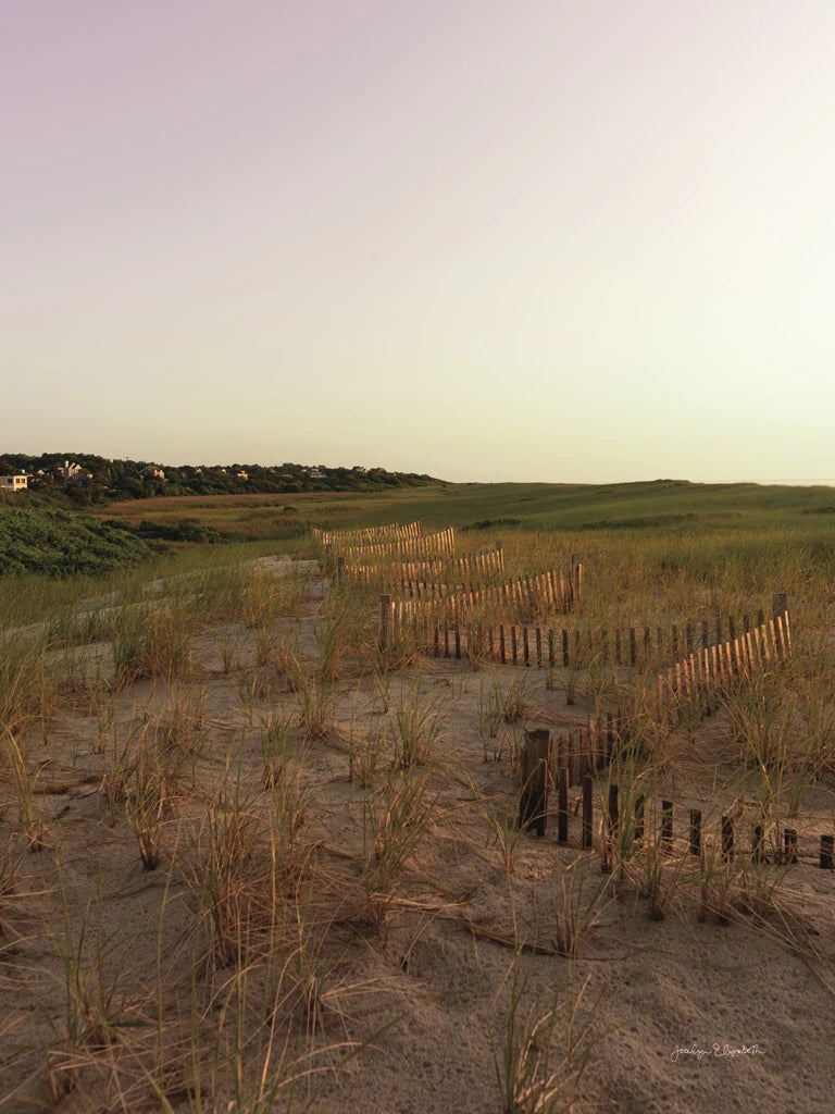 Light over the Dunes by Jocelyn Elizabeth