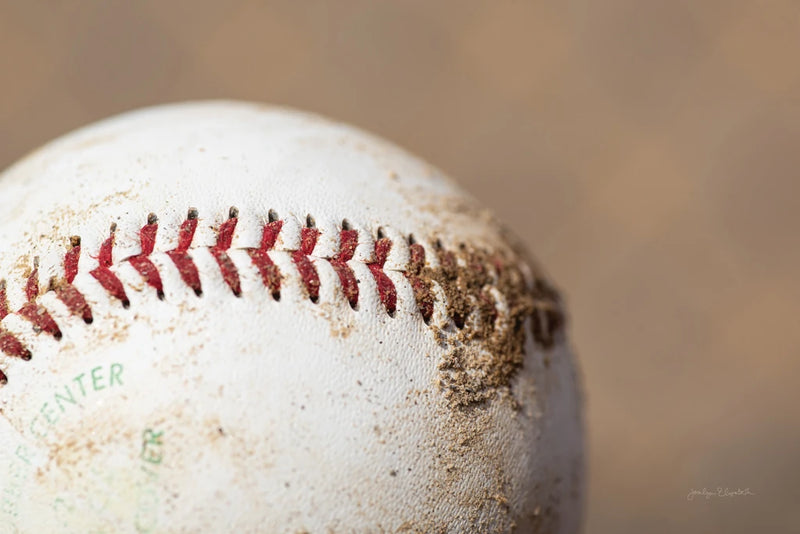 Play Ball by Jocelyn Elizabeth