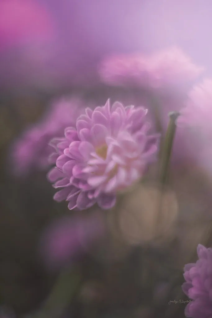 Purple Haze by Jocelyn Elizabeth. SKU 94031h. Archival Giclee Fine art print for wall decor.