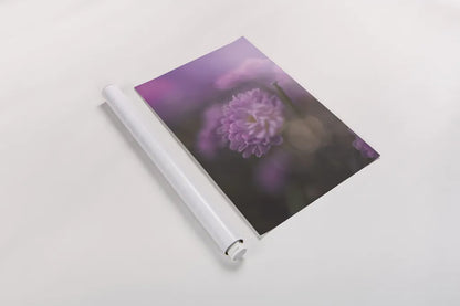 Purple Haze by Jocelyn Elizabeth. shown as a rolled paper print. Available as archival giclee rolled canvas, fine art paper, or poster print. SKU 94031h.