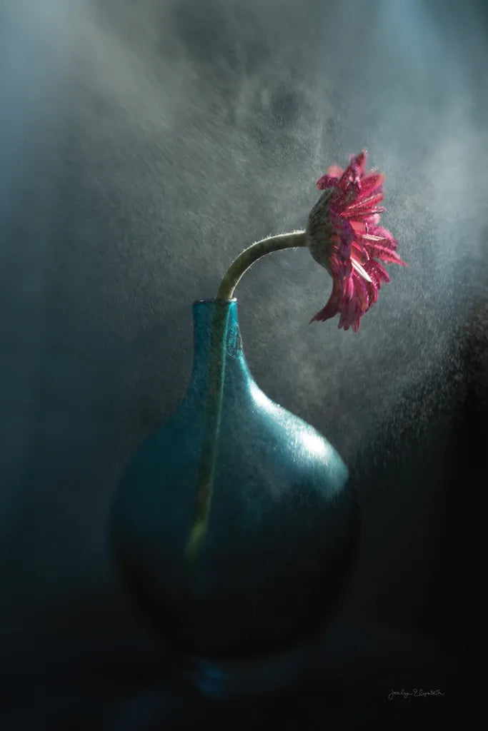 Rainy Daisy by Jocelyn Elizabeth. SKU 94034h. Archival Giclee Fine art print for wall decor.