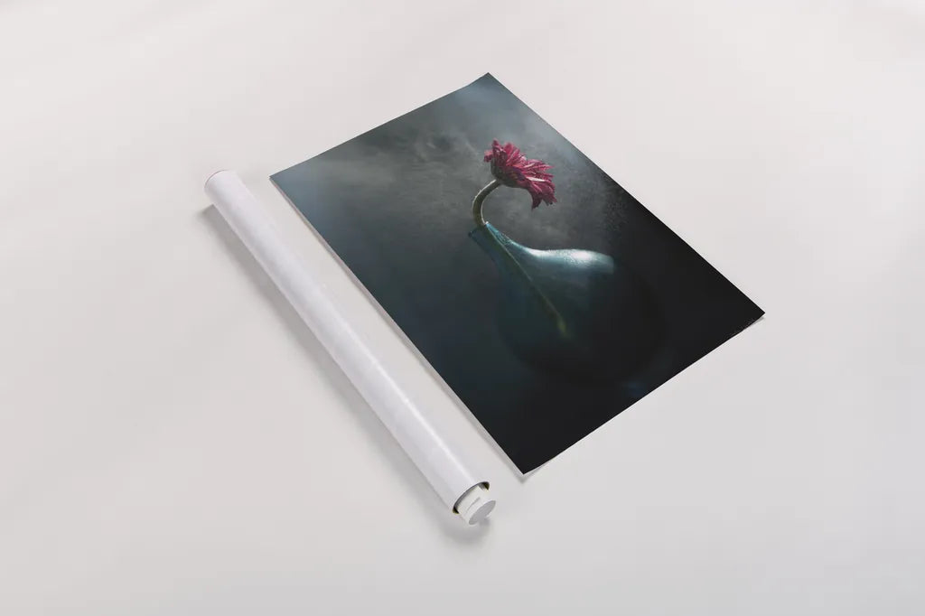 Rainy Daisy by Jocelyn Elizabeth. shown as a rolled paper print. Available as archival giclee rolled canvas, fine art paper, or poster print. SKU 94034h.