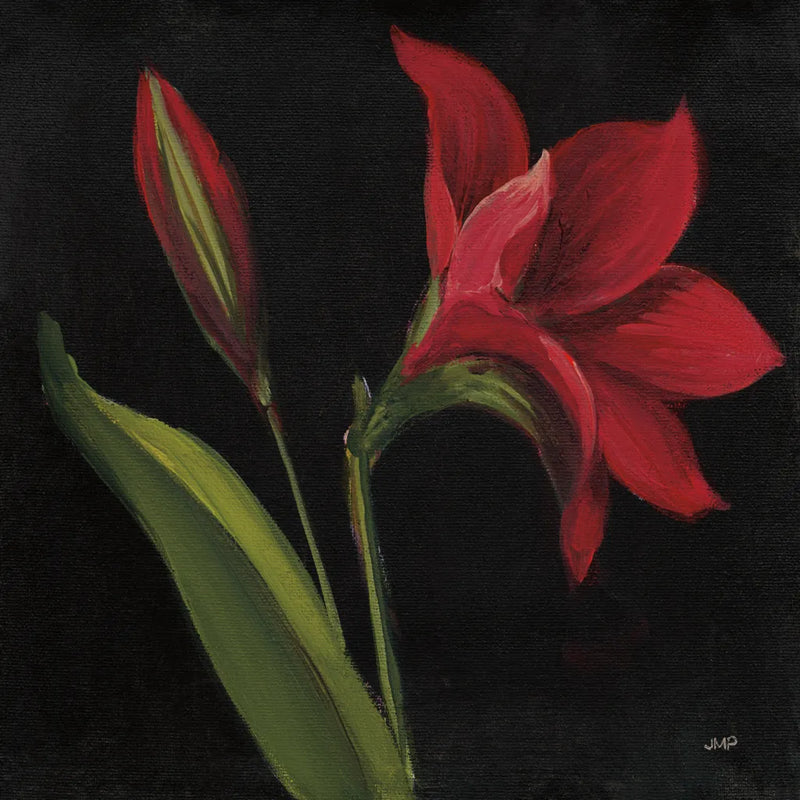 Amour Amaryllis by Julia Purinton. SKU 103375a. Archival Giclee Fine art print for wall decor.