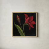 Amour Amaryllis by Julia Purinton. Shown in a natural wood glass frame for a timeless modern aesthetic. Available as an archival giclee rolled canvas, fine art paper, or poster print. SKU 103375a.