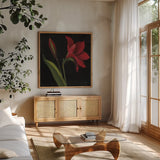 Amour Amaryllis by Julia Purinton. Shown in a natural wood frame in a cozy modern living room. Available as an archival giclee rolled canvas, fine art paper, or poster print. SKU 103375a.
