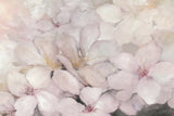 Apple Blossoms Dark Gray by Julia Purinton. SKU 52506i. Archival Giclee Fine art print for wall decor.