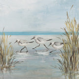 Beach Birds III by Julia Purinton. SKU 99746a. Archival Giclee Fine art print for wall decor.