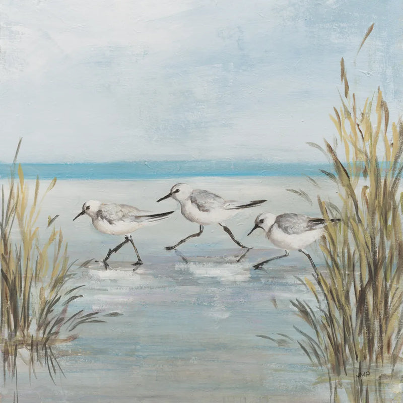 Beach Birds III by Julia Purinton. SKU 99746a. Archival Giclee Fine art print for wall decor.
