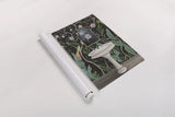 Botanical Bath I by Julia Purinton. shown as a rolled paper print. Available as archival giclee rolled canvas, fine art paper, or poster print. SKU 84121h.