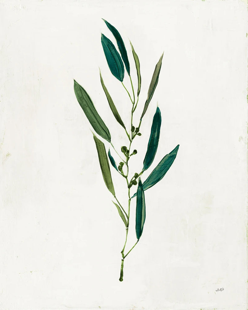Botanical Study I Greenery by Julia Purinton