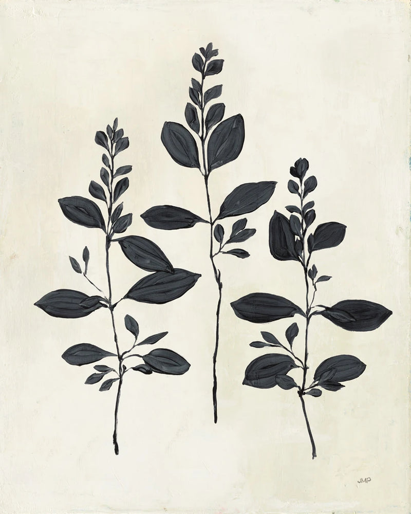 Botanical Study IV by Julia Purinton