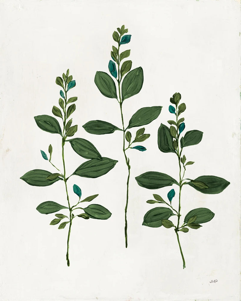 Botanical Study IV Greenery by Julia Purinton
