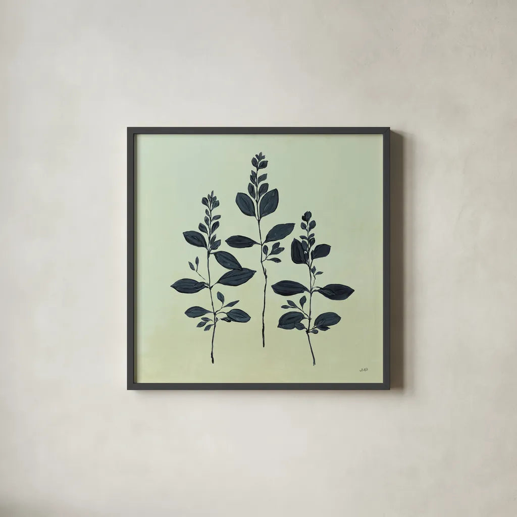 Botanical Study IV Sage by Julia Purinton. Shown in a sleek black glass frame for a contemporary gallery look. Available as an archival giclee rolled canvas, fine art paper, or poster print. SKU 49728a.