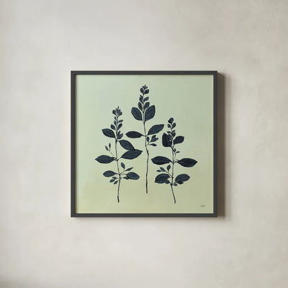 Botanical Study IV Sage by Julia Purinton. Shown in a sleek black glass frame for a contemporary gallery look. Available as an archival giclee rolled canvas, fine art paper, or poster print. SKU 49728a.