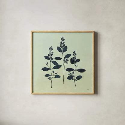 Botanical Study IV Sage by Julia Purinton. Shown in a natural wood glass frame for a timeless modern aesthetic. Available as an archival giclee rolled canvas, fine art paper, or poster print. SKU 49728a.