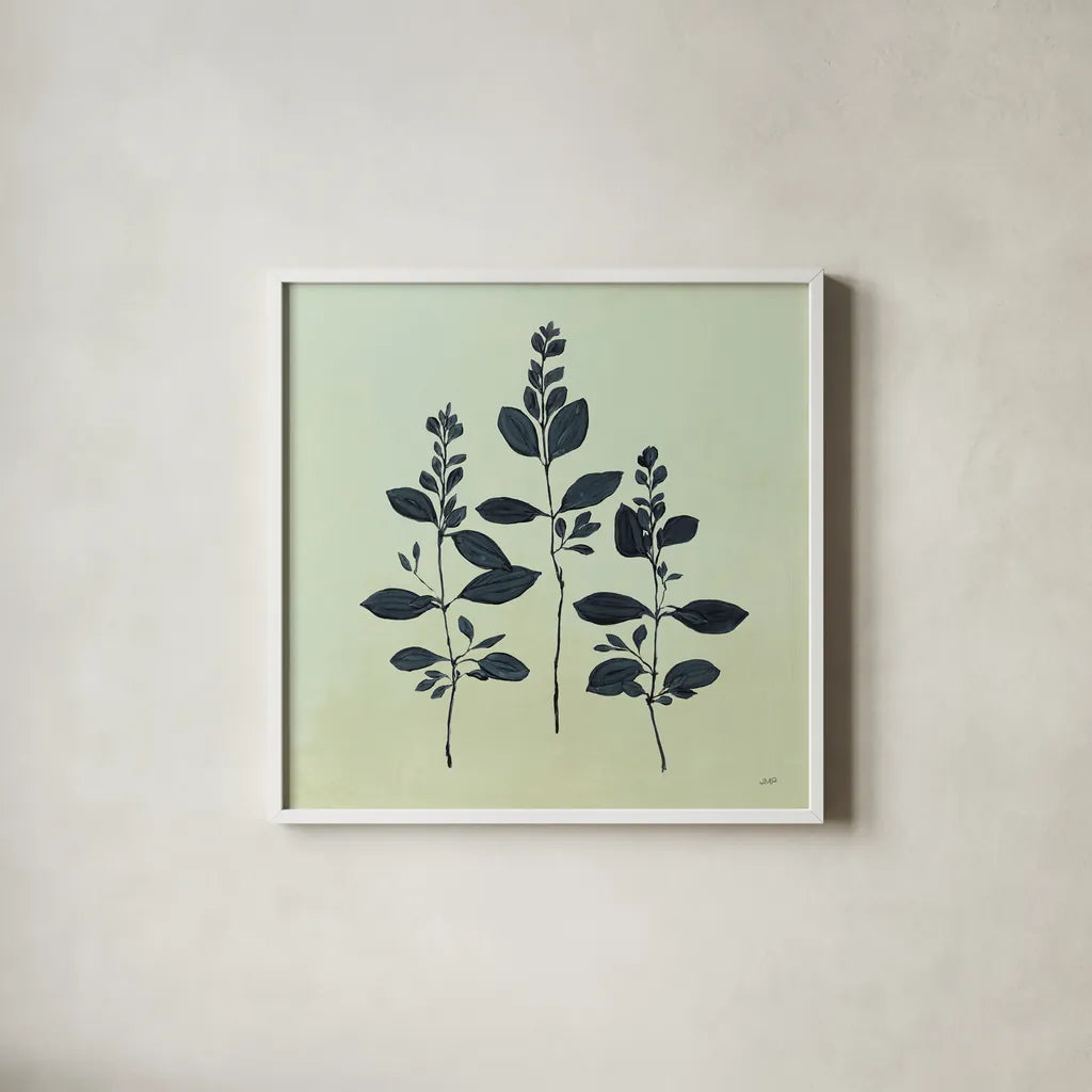 Botanical Study IV Sage by Julia Purinton. Shown in a crisp white glass frame for a clean and minimalist style. Available as an archival giclee rolled canvas, fine art paper, or poster print. SKU 49728a.
